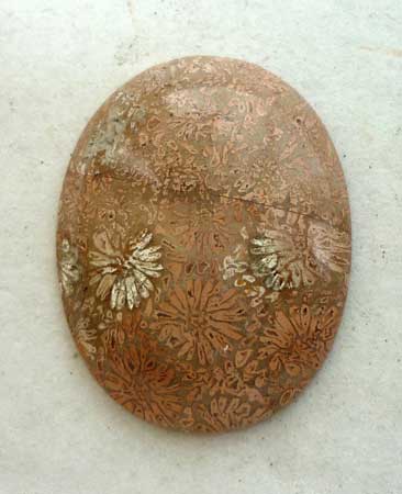 Fossil Coral Cabochon Sumatra