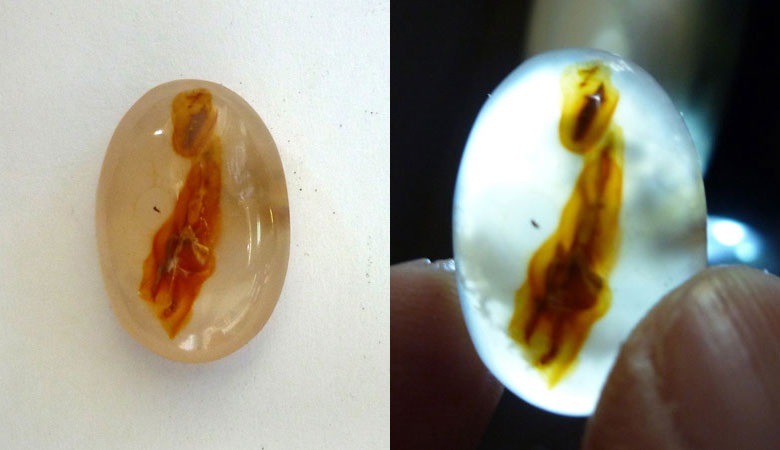 Picture Agate Cab from Indonesia