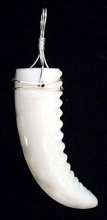 Wire wrap teeth pendant
