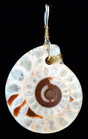 Wire wrapped Ammonite Slab Pendant from Indonesia