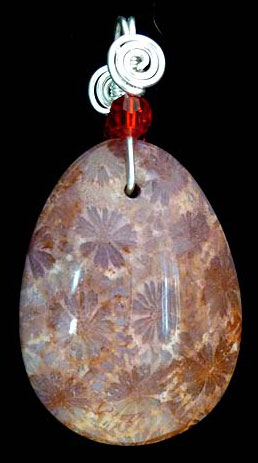Pendant of agatized fossil coral